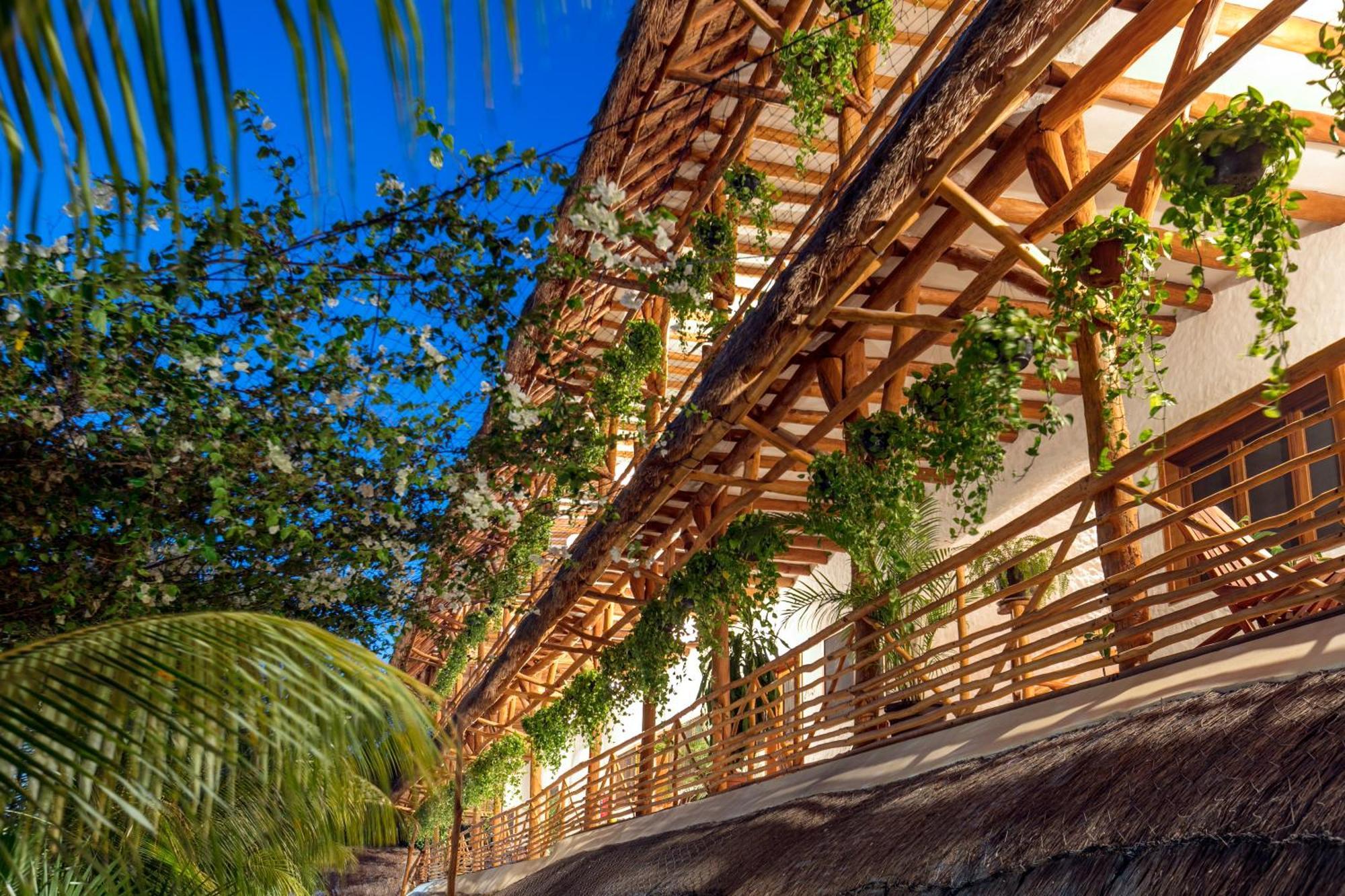 La Palma Holbox Hotel ภายนอก รูปภาพ